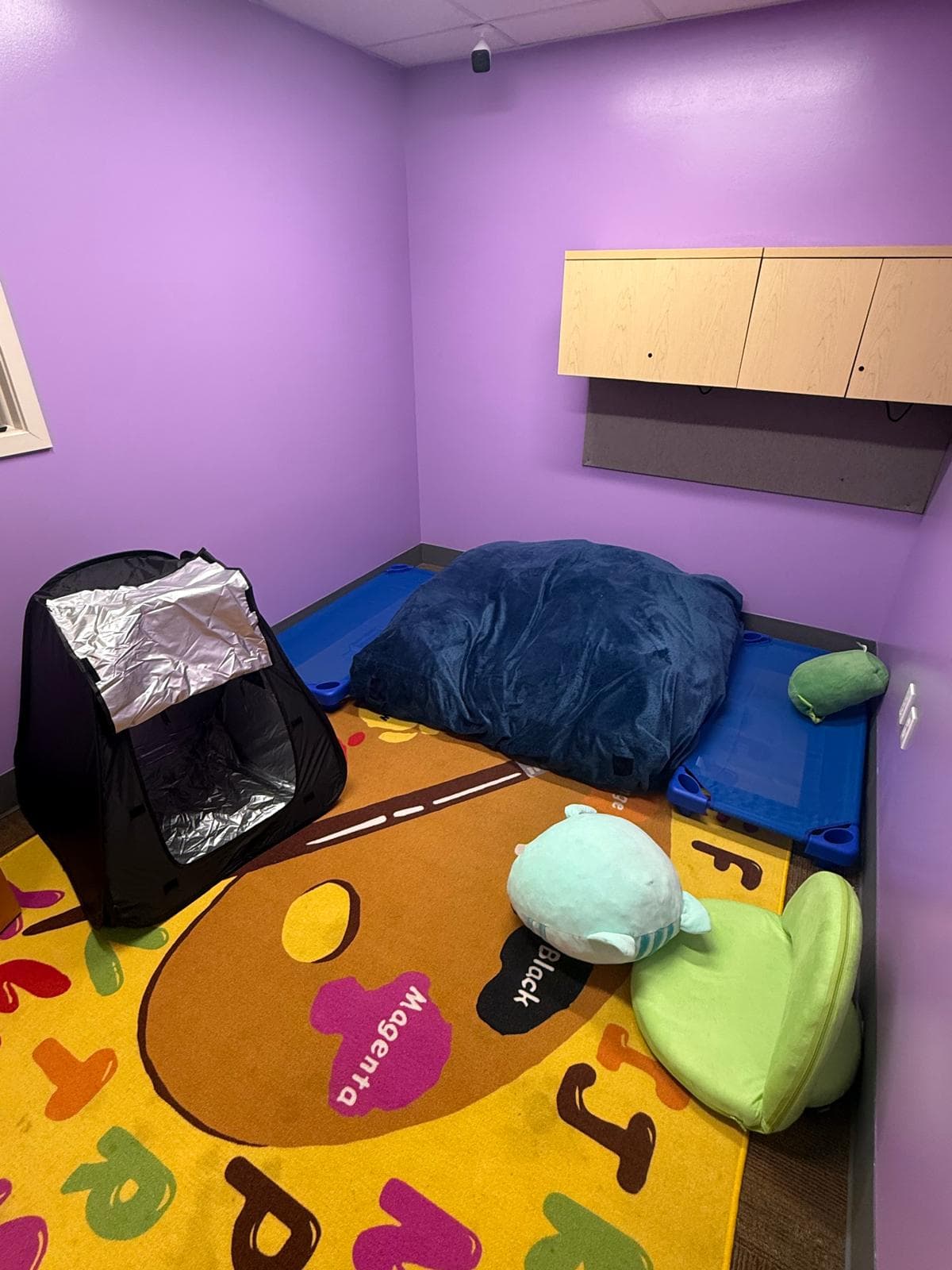 Bright therapy room with sensory stations